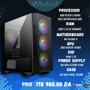 PC GAMER Ryzen 5 8600G –DDR5 RAM 16 Go  | SSD NVMe 1TB